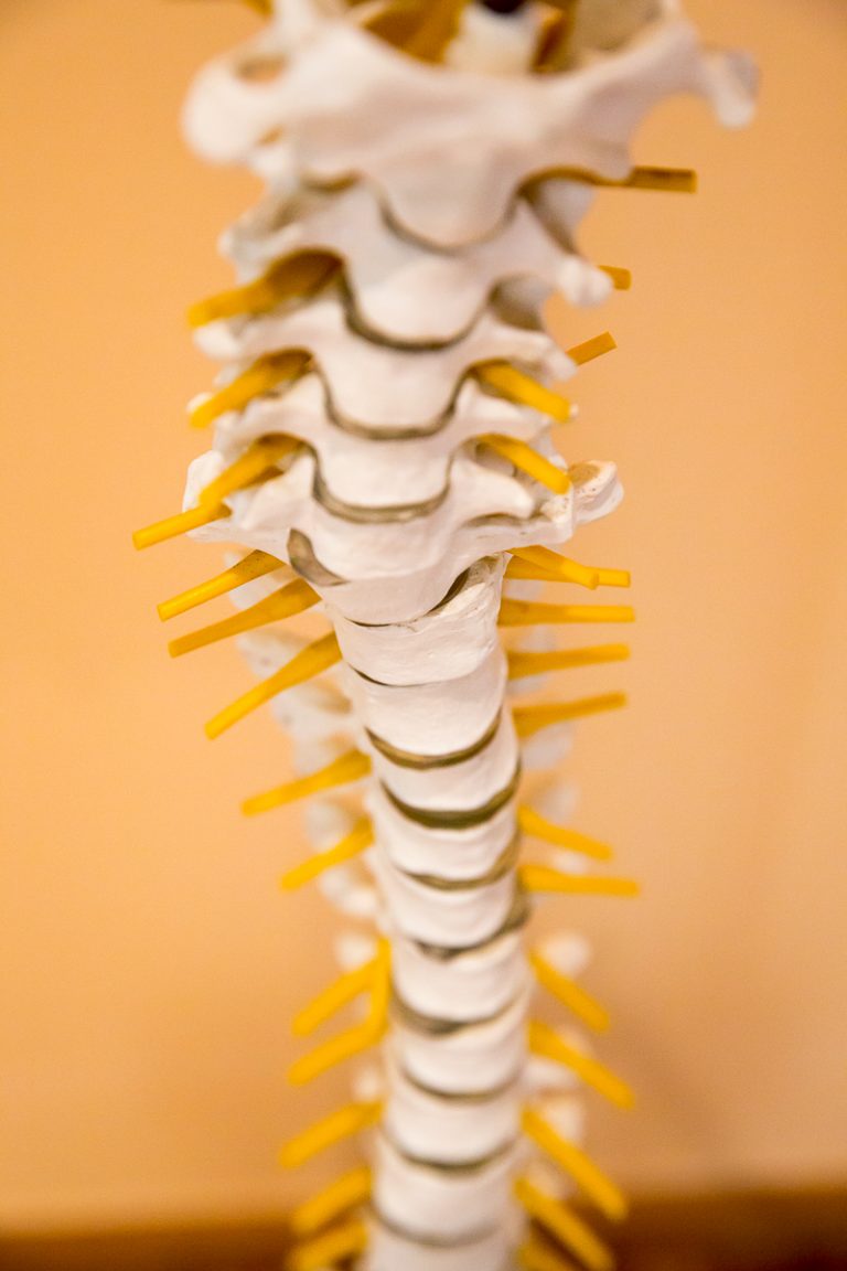 Osteopathie/Chiropraktik